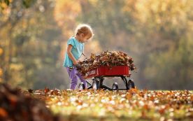 child pushing wagon