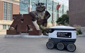 Food delivery robot