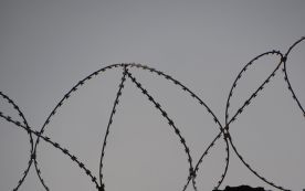 prison fence