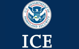 ICEGOV 